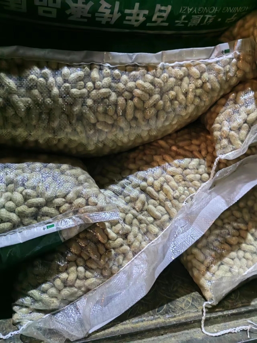 IMG_6844(20230224-105036)