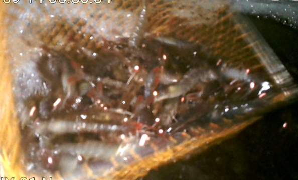 微信图片_20230916104343