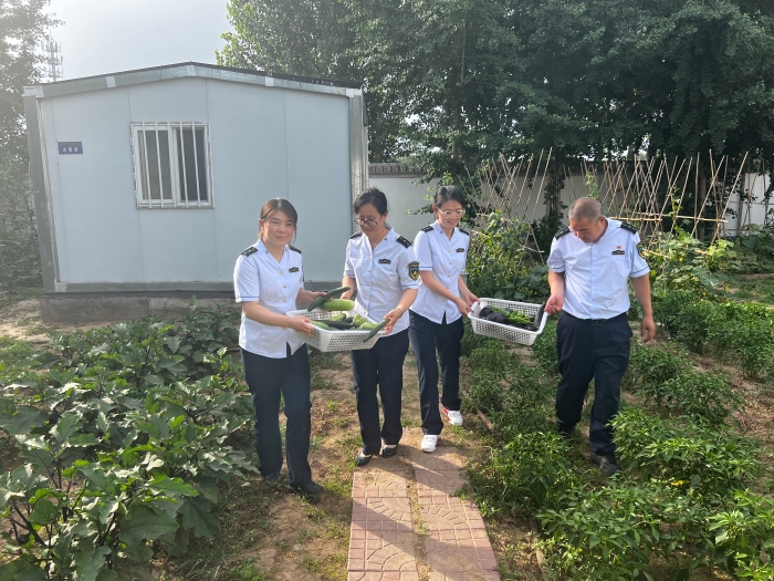 0f272d991e03c959773a55a6bcf38a5