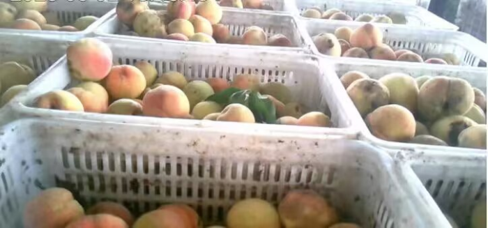 d2e785168c860f2af831ac0c073d31e5