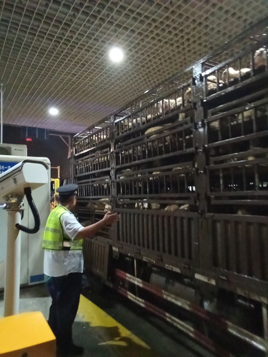 mmexport1725520855506 mmexport1725520855506