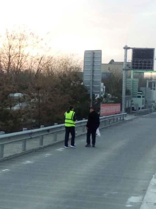 mmexport1733386260192