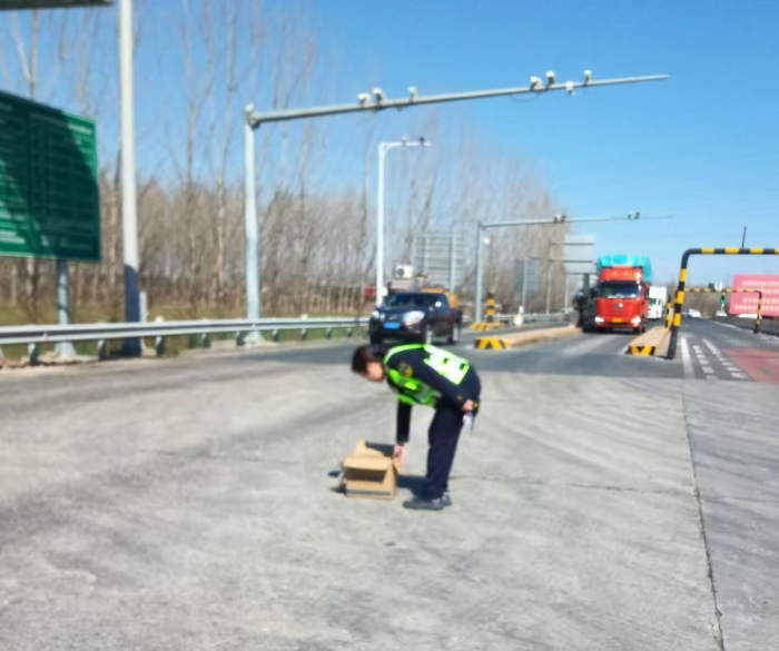 74bde35bbd1012084728eadccd3d9f0d 74bde35bbd1012084728eadccd3d9f0d