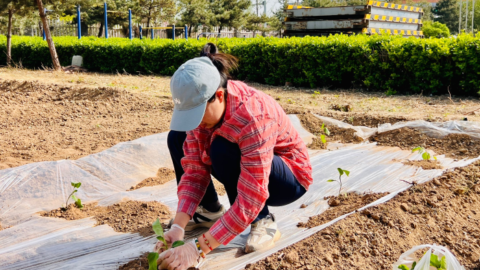 CA607B6E103CAA33ACC8A75C12D919B9