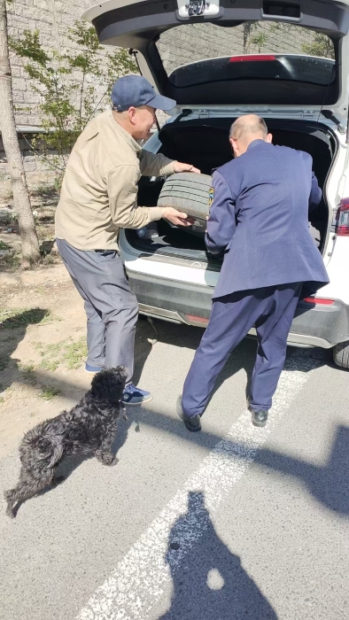 6dbe8a286048e609bb82a0be7c297354