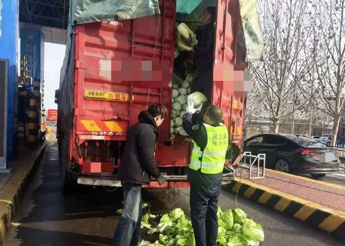 绿通核验遇菜散落 收费员援手暖人心